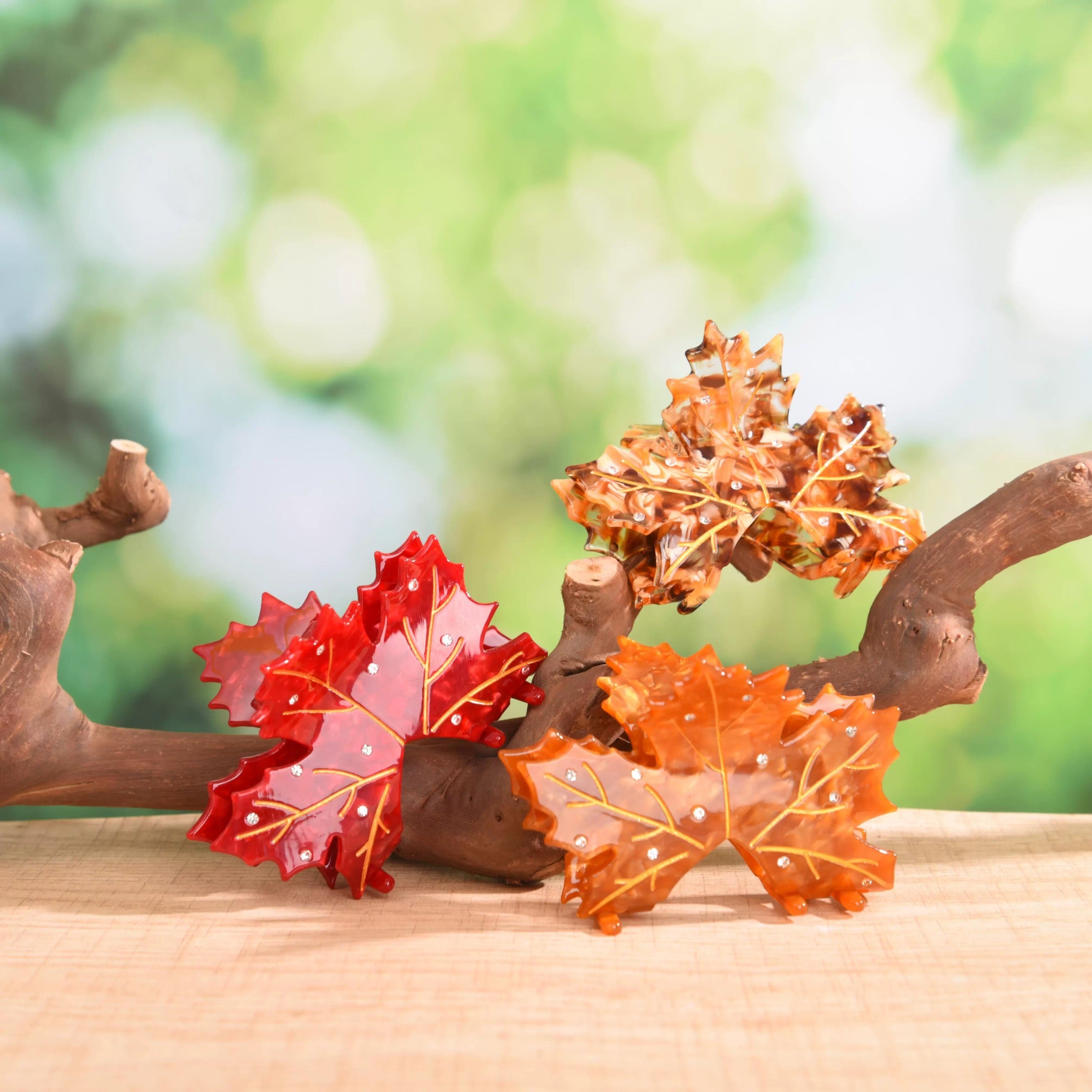 Acer rubrum claw within Brown