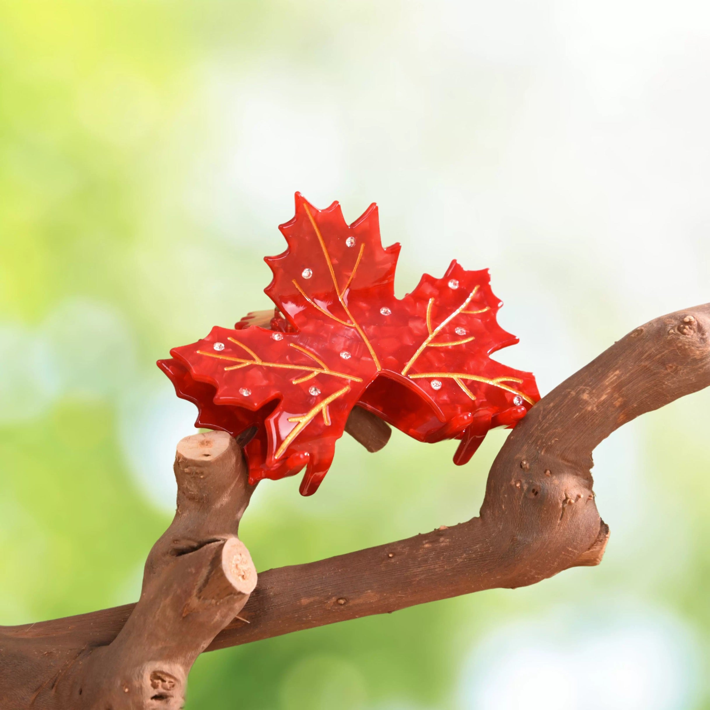 Acer rubrum claw within Red