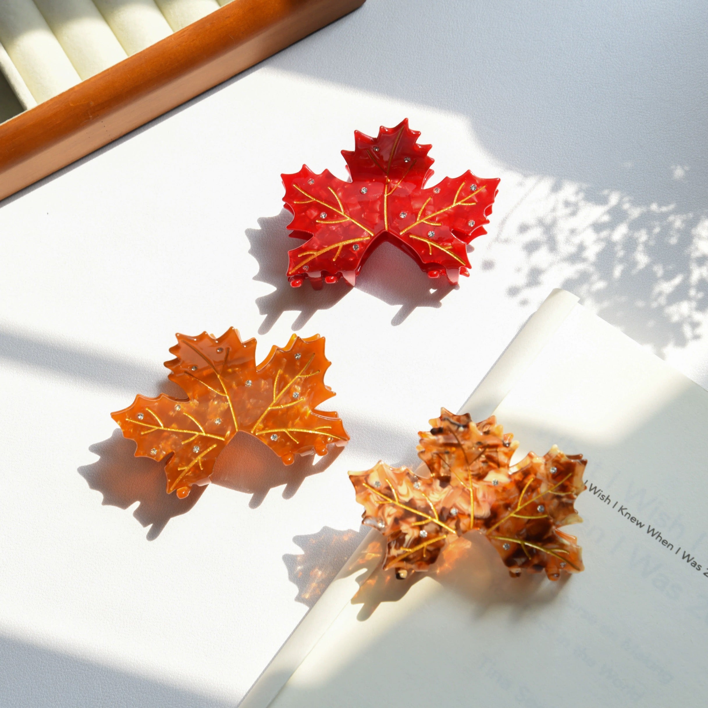 Acer rubrum claw within Coffe