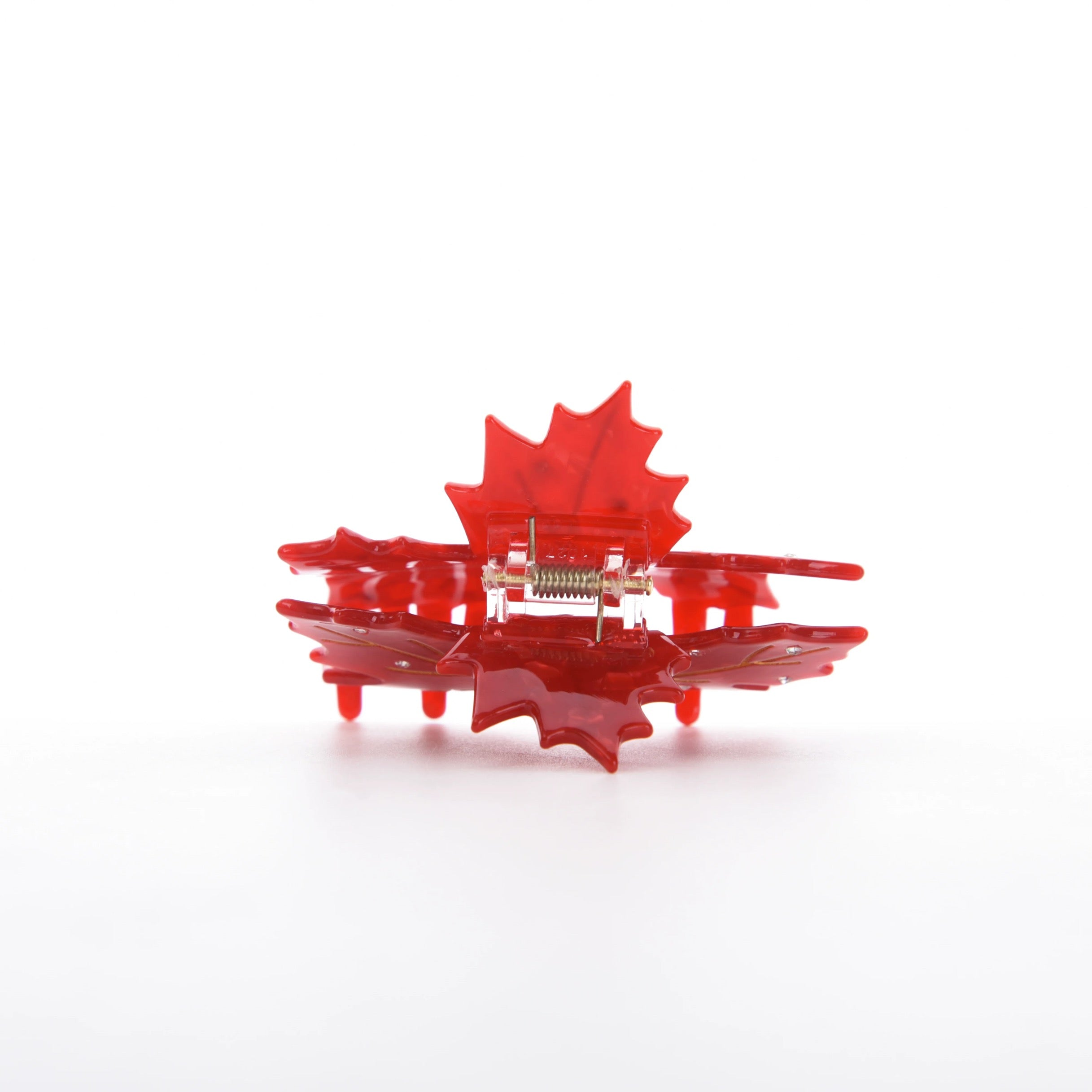 Acer rubrum claw within Red