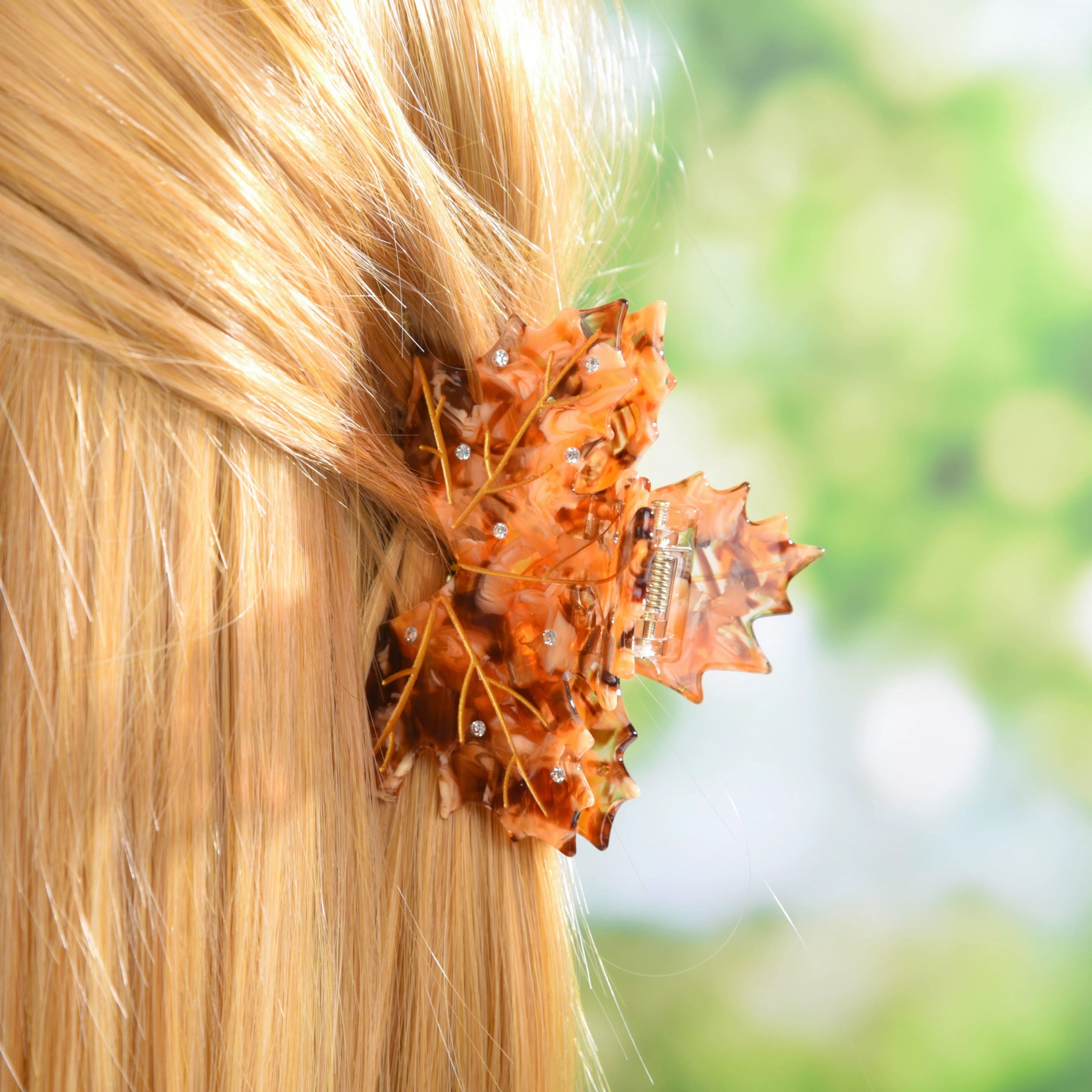 Acer rubrum claw within Brown