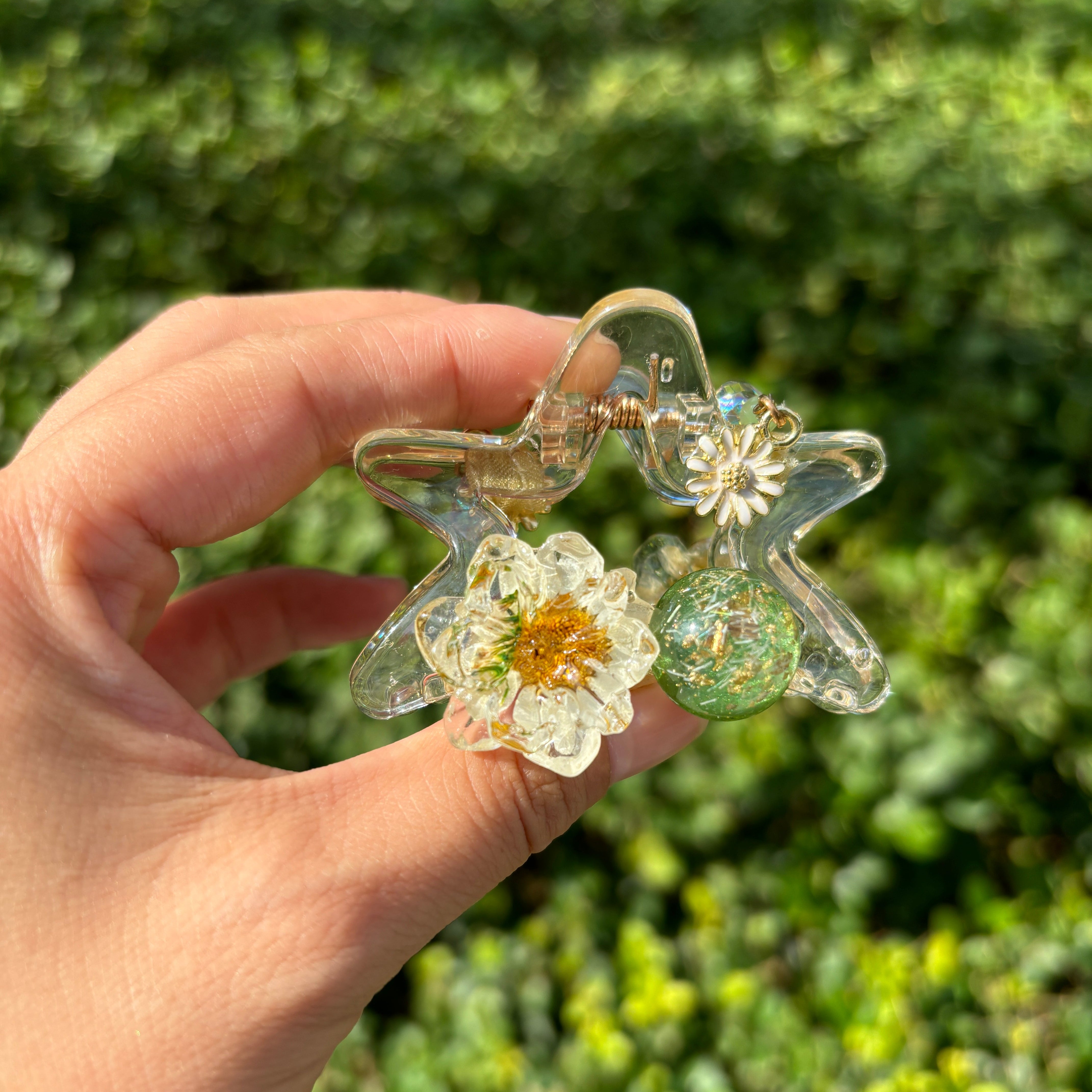 Planets and stars claw