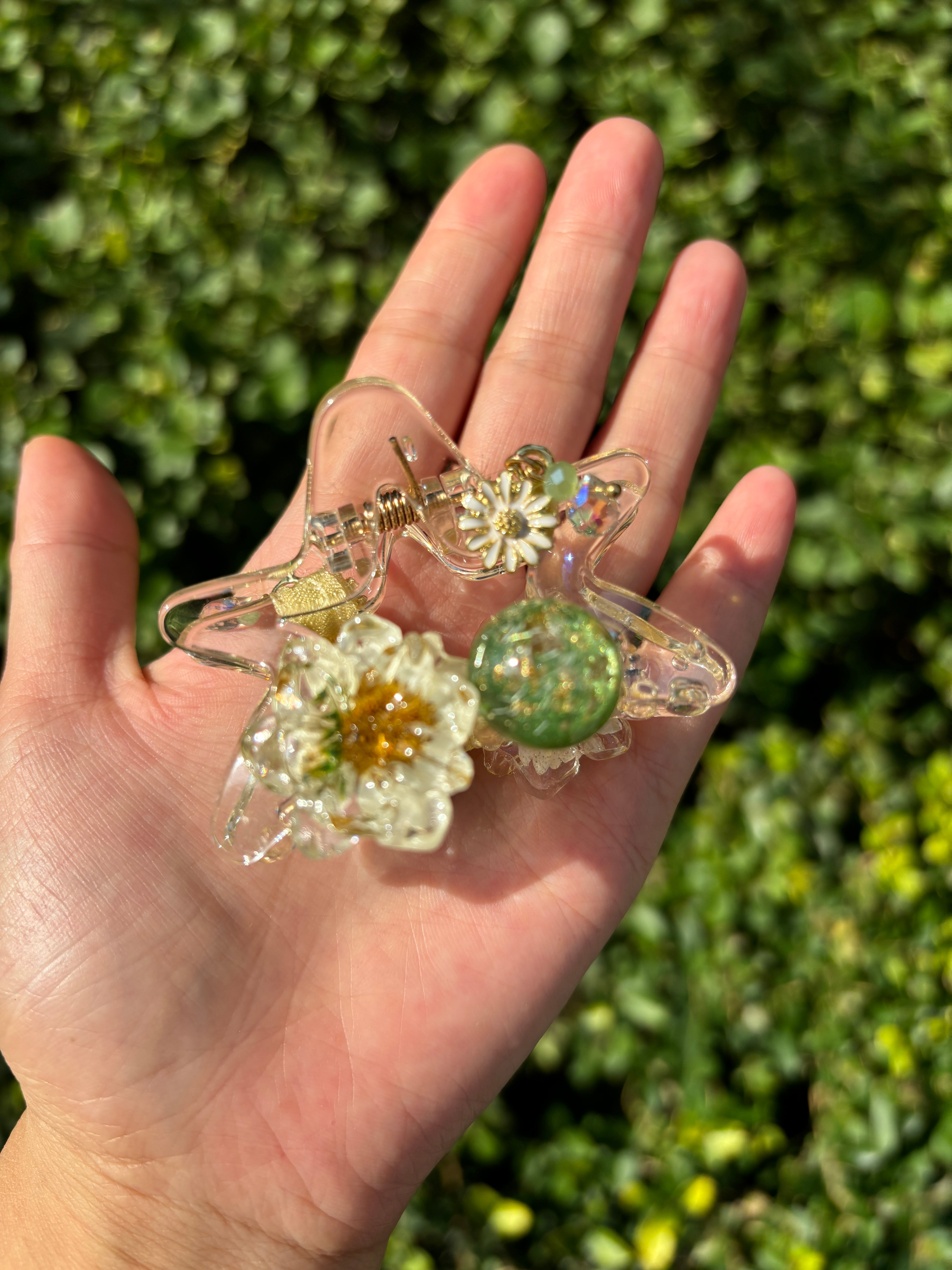 Planets and stars claw