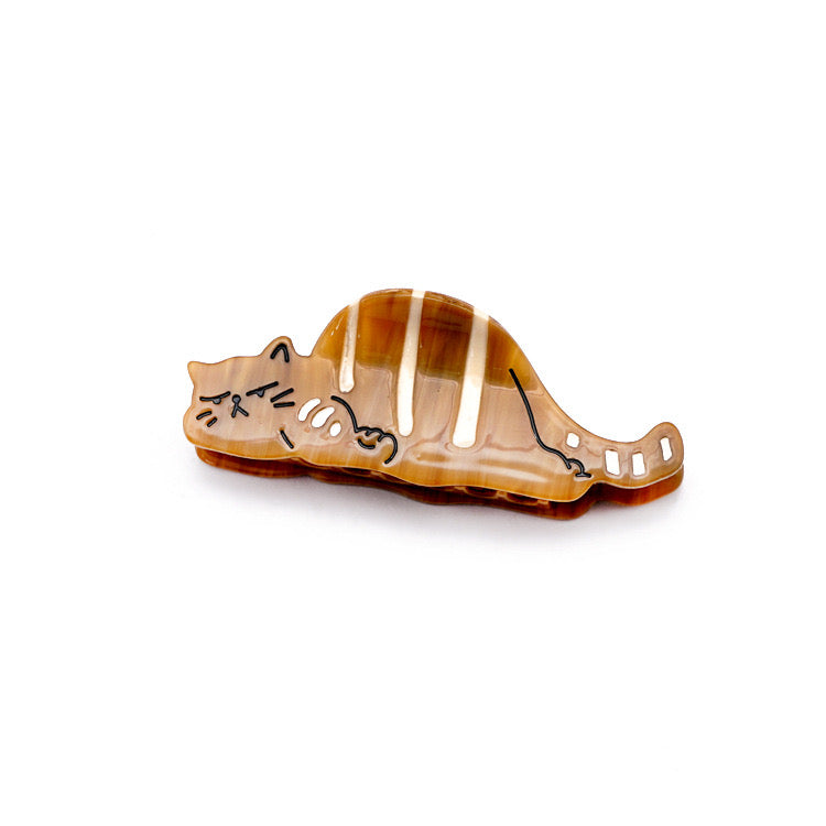 sleeping cat within Brown