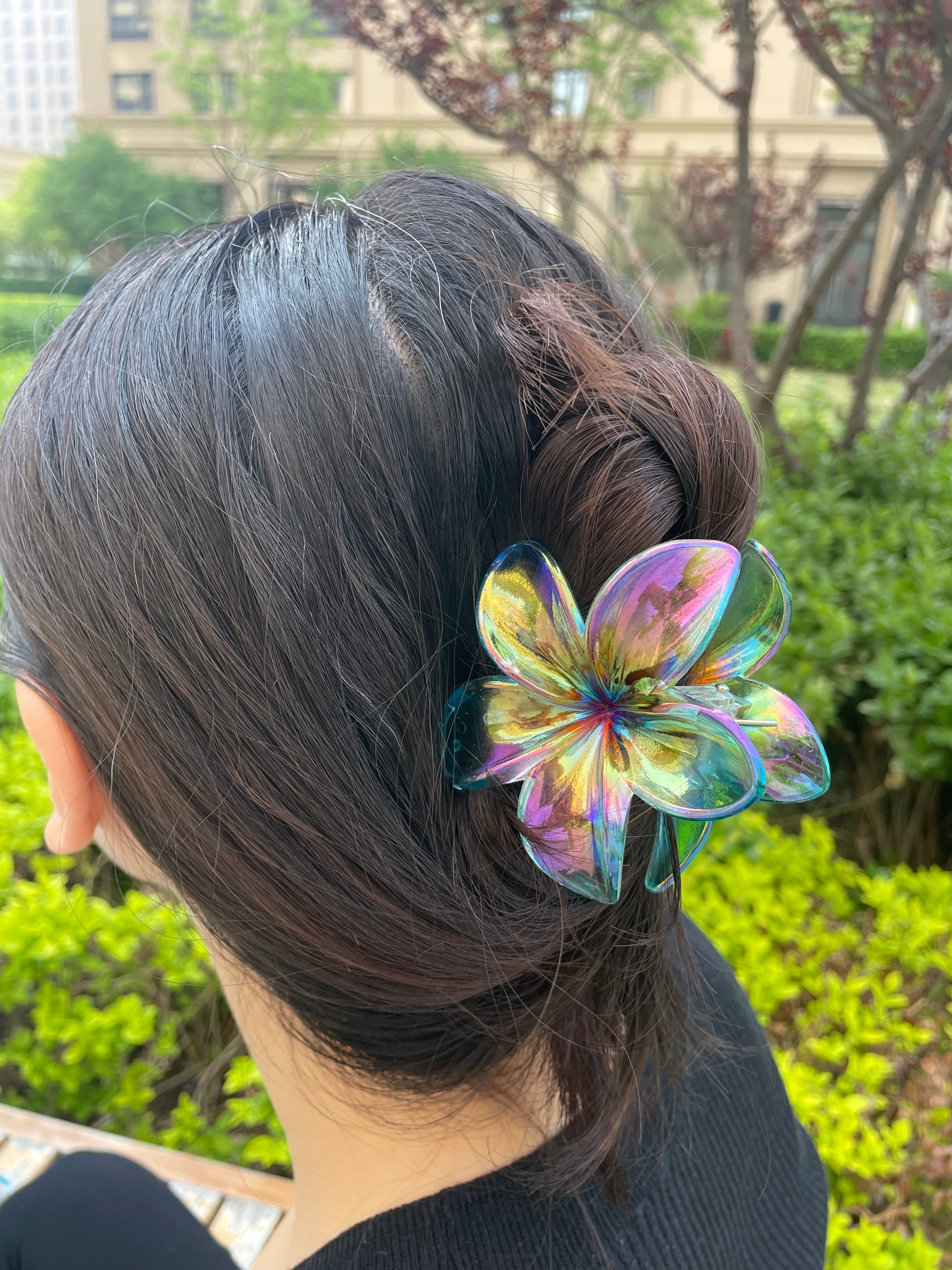 Colorful Plumeria claw within Blue