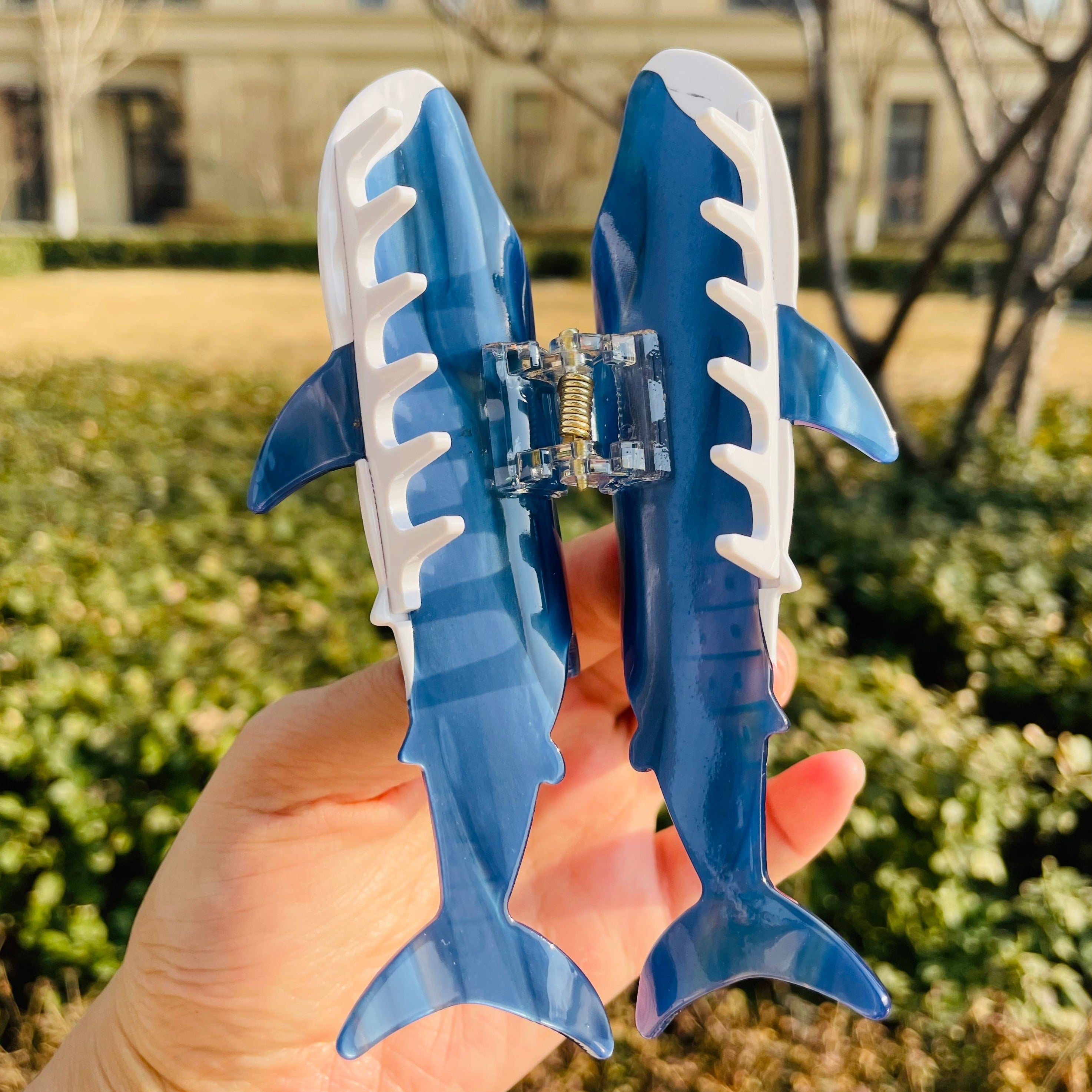 BLUE WHALE SHARK CLAW