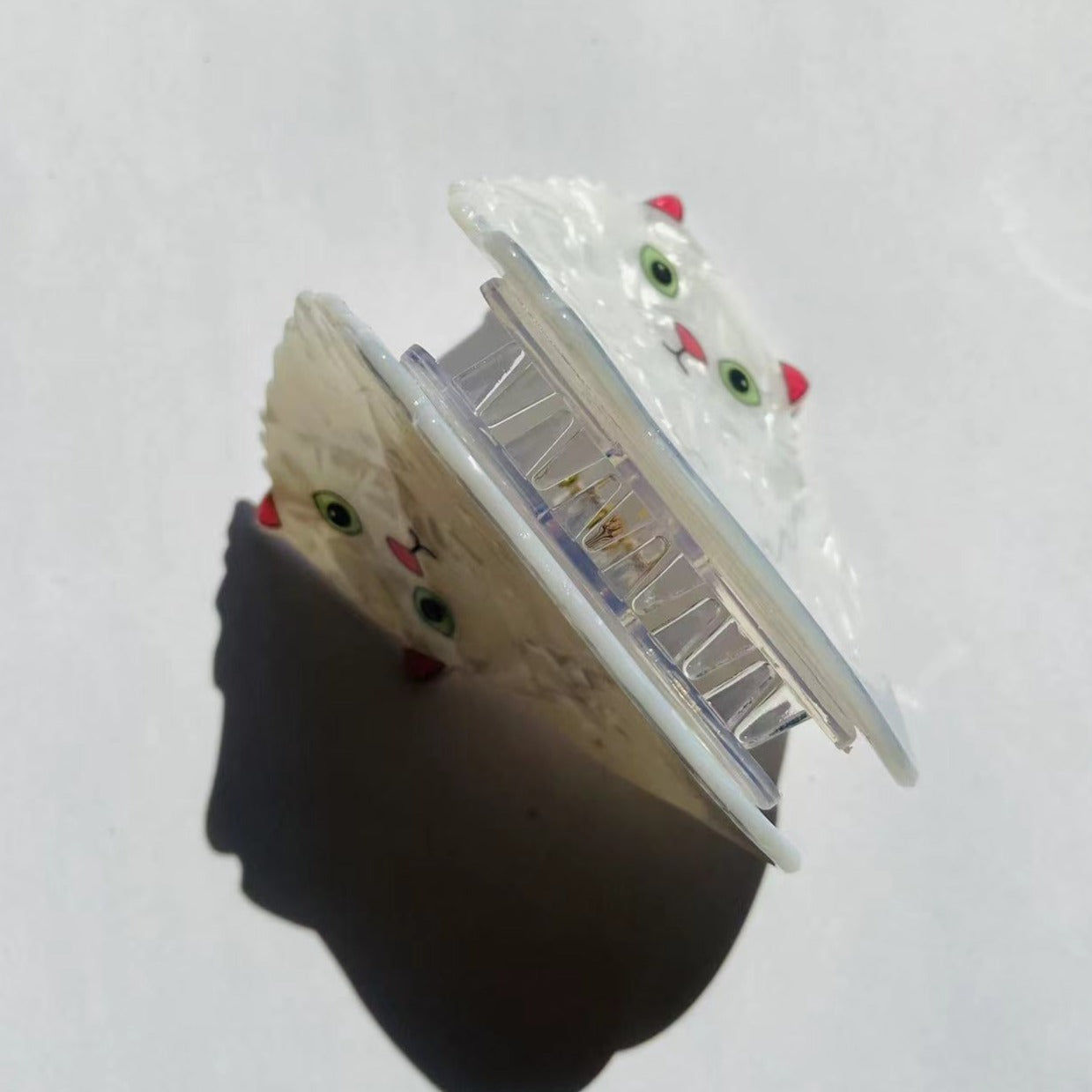 persian cat claw within snow