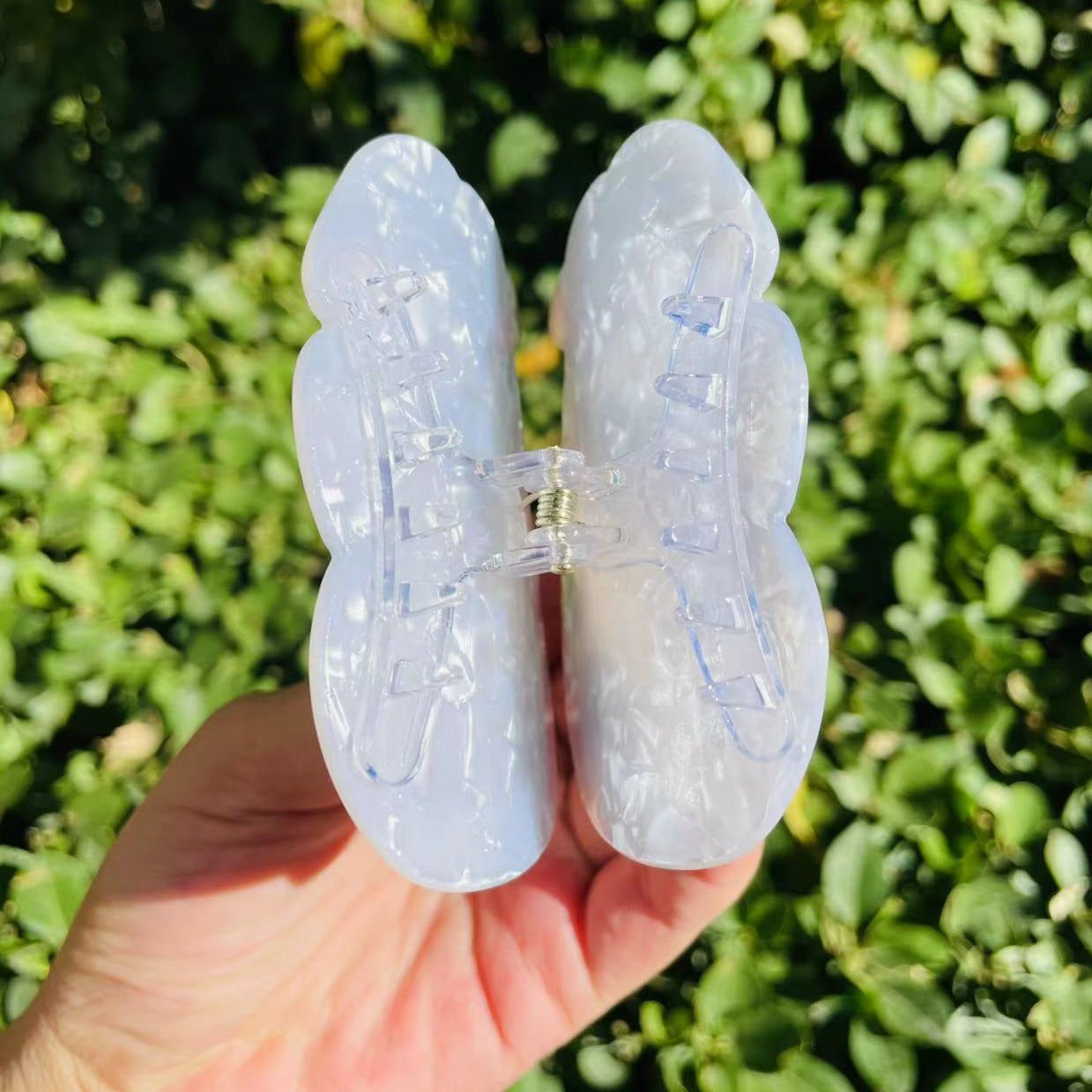 persian cat claw within snow