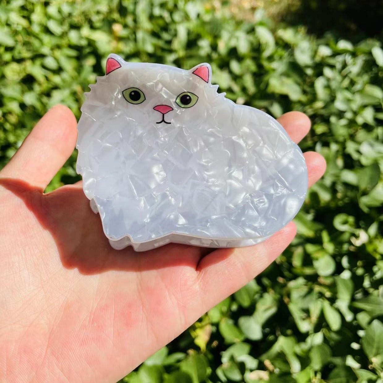 persian cat claw within snow