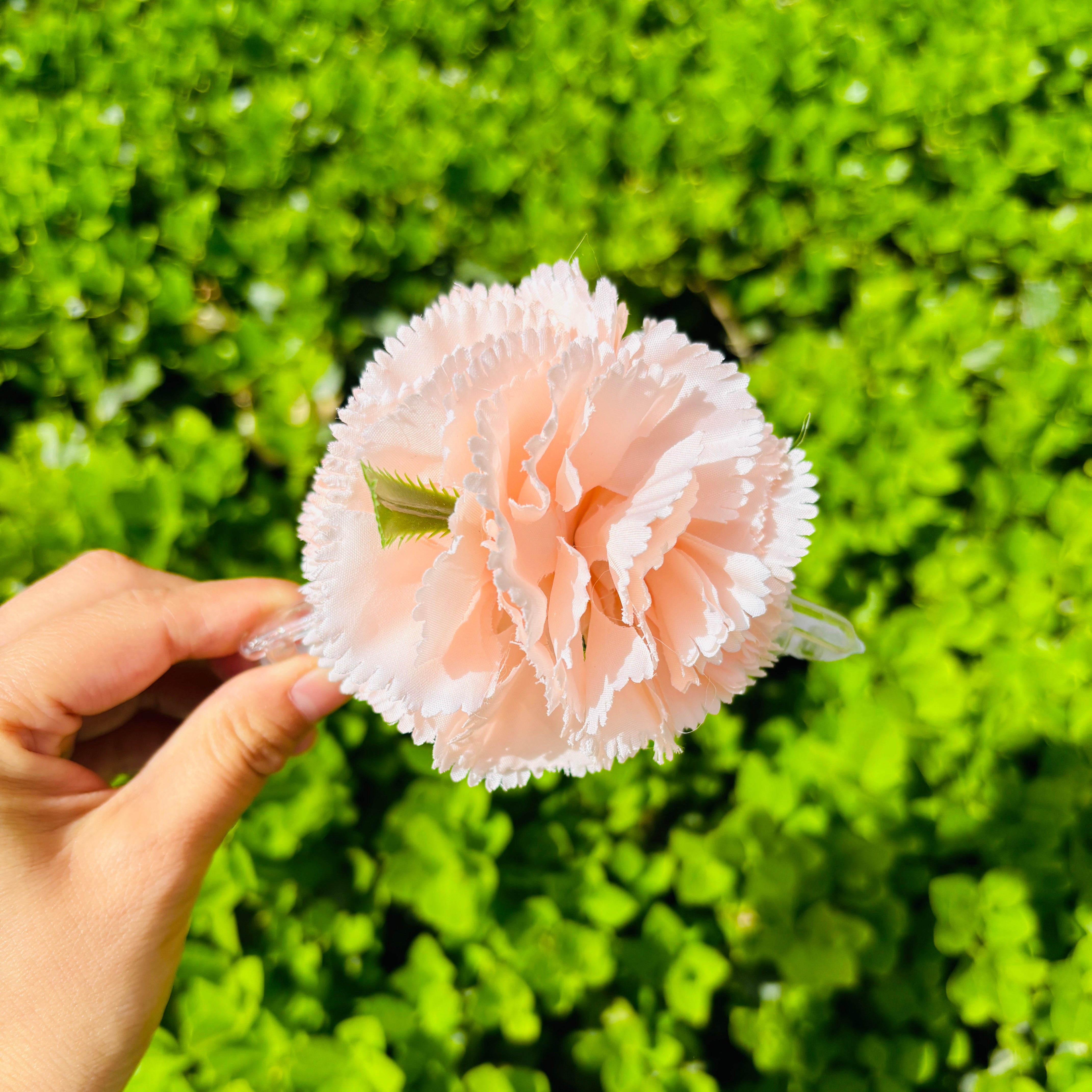Carnation hair claw Within cream
