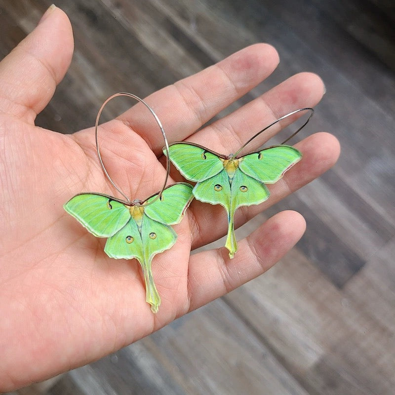 Actias ningpoana earrings