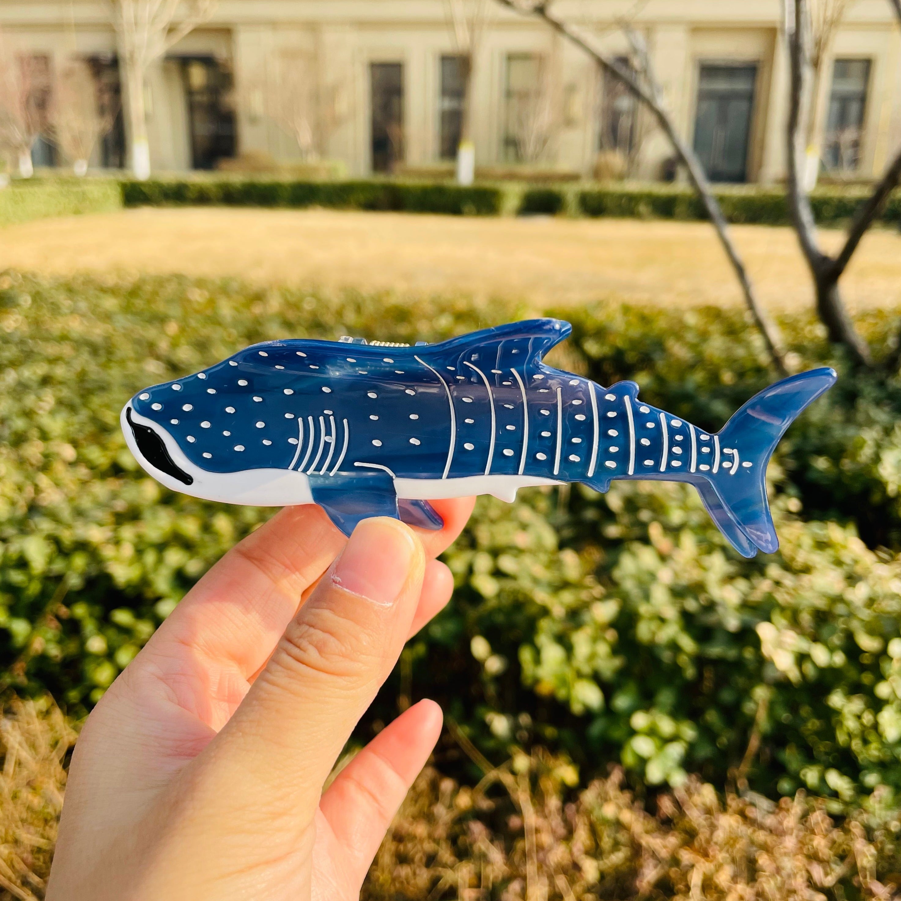 BLUE WHALE SHARK CLAW