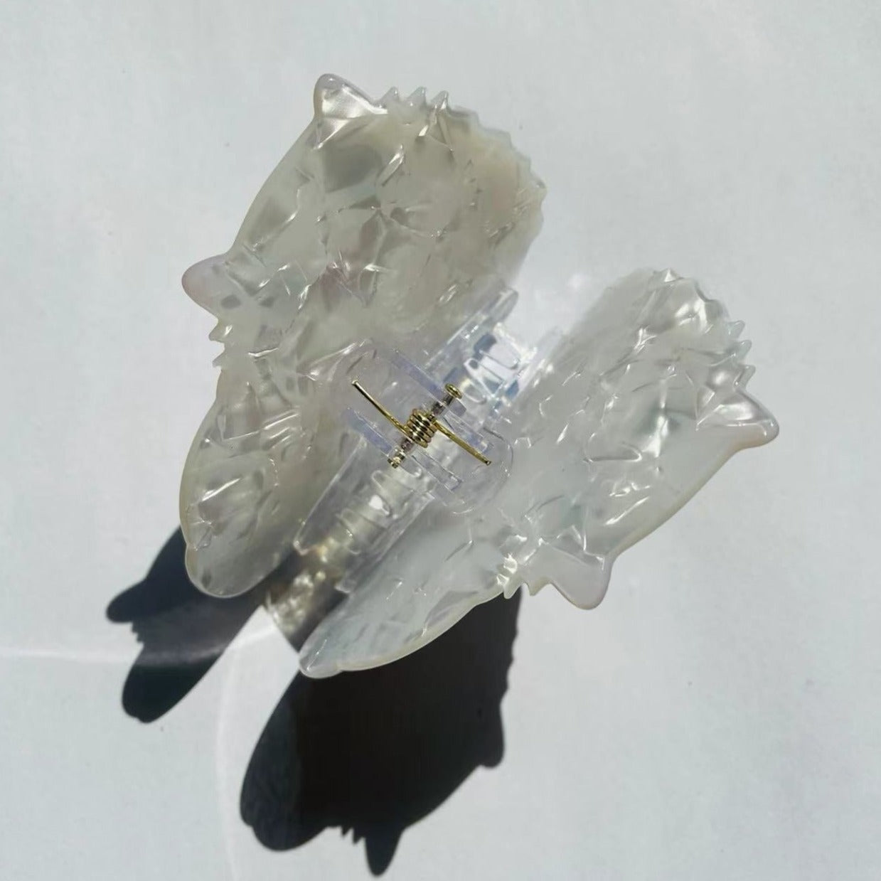 persian cat claw within snow