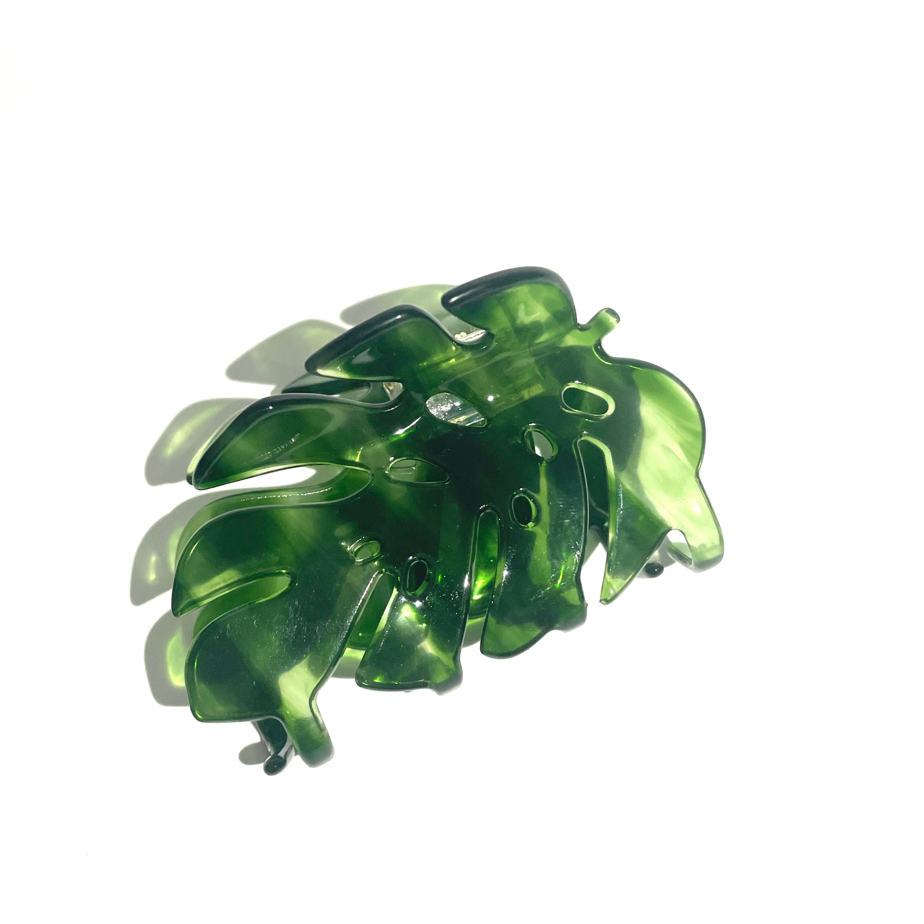 Monstera deliciosa Liebm Claw (New version)