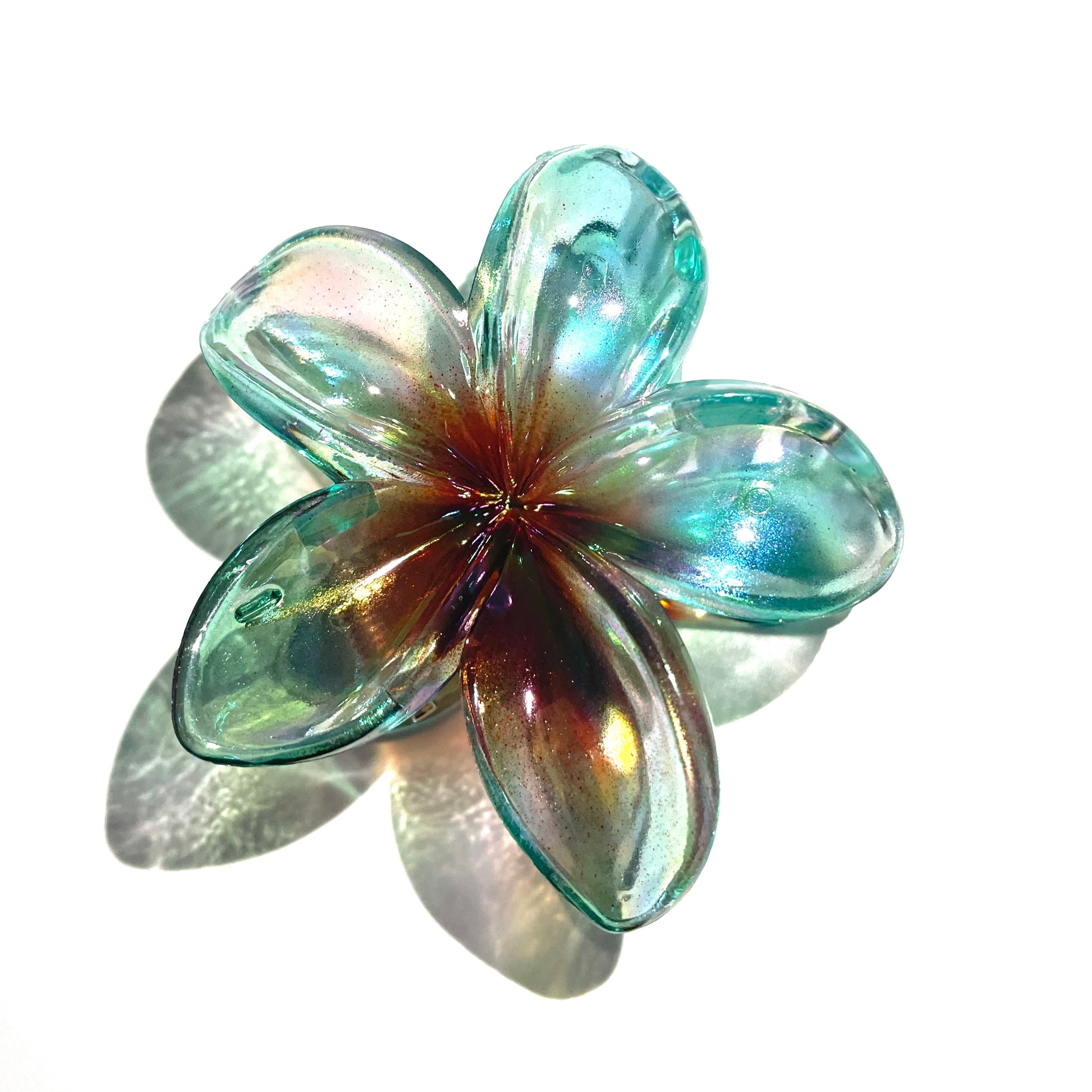 Colorful Plumeria claw within Blue