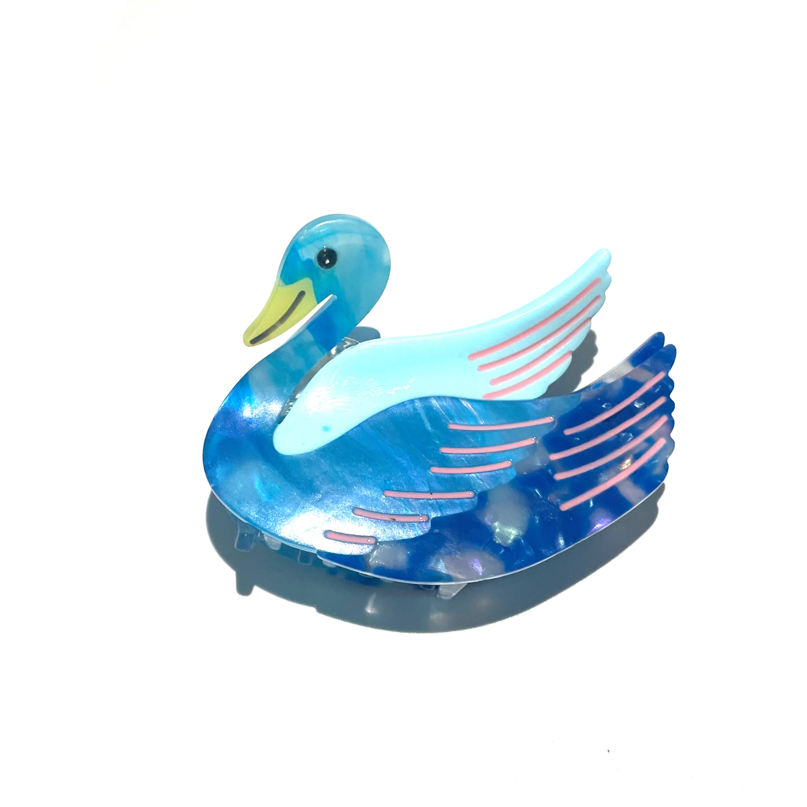 Blue Duck