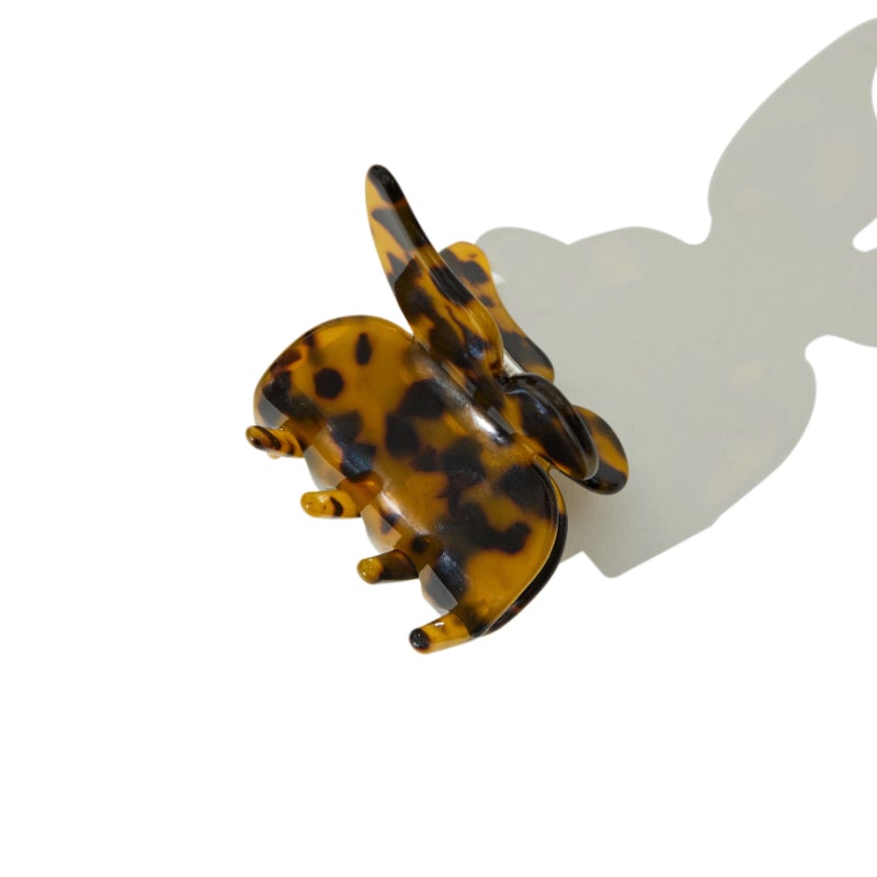 Butterfly Claw in Tea