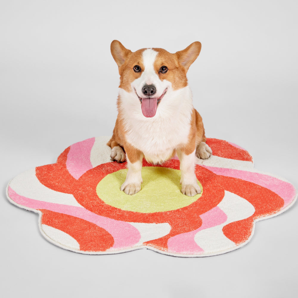 Bonbon Wavy Rug