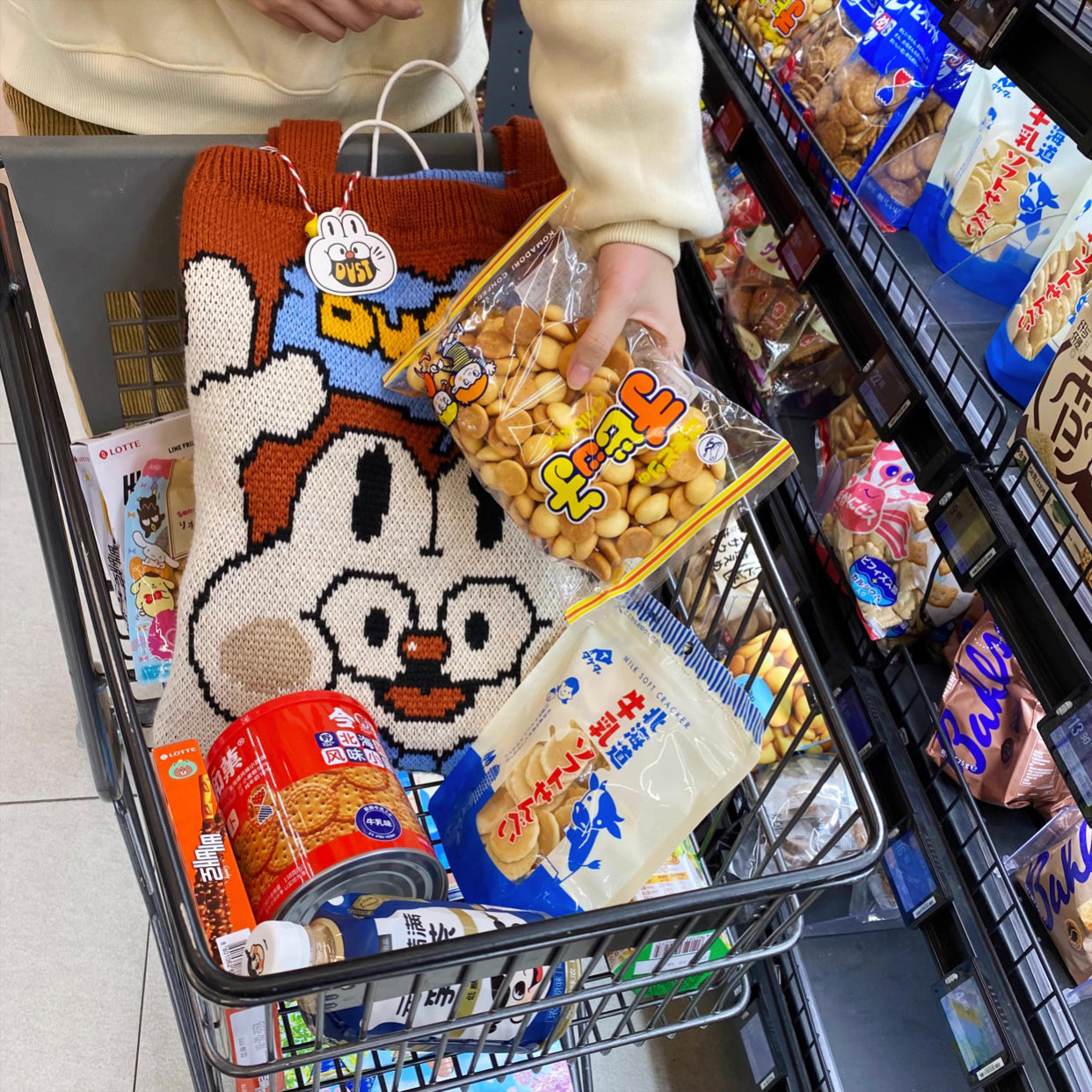 Artist White Rabbit Bunny Bag