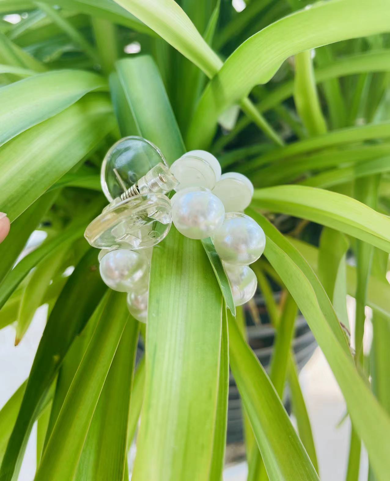 white pearl mini claw