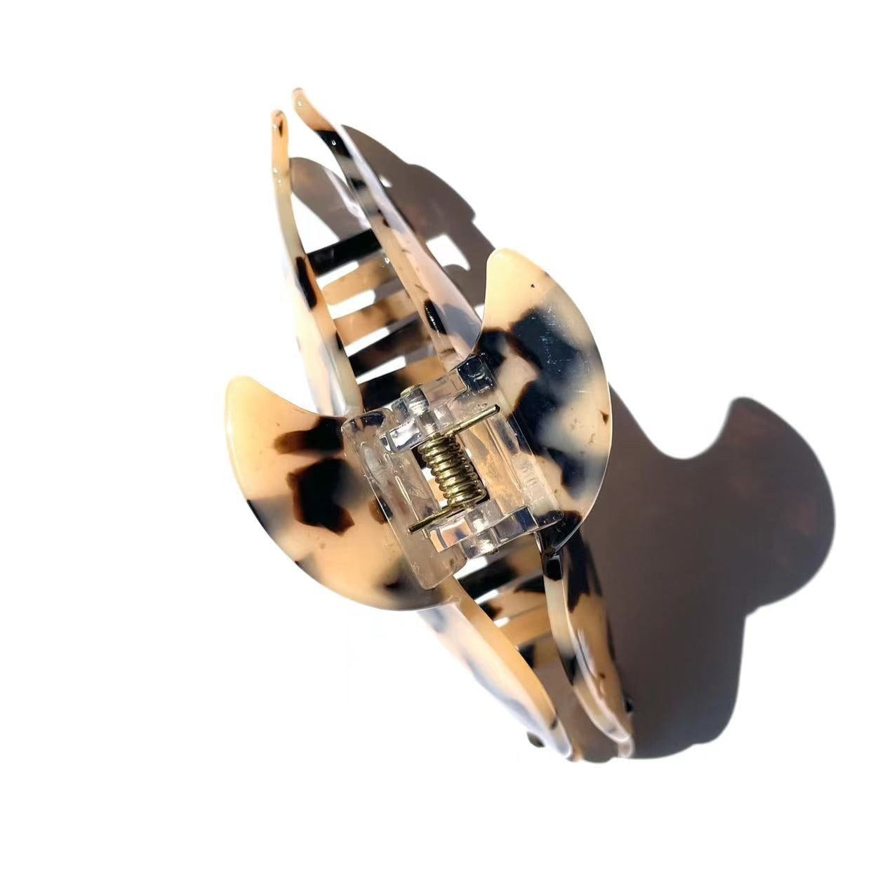 DOLPHIN CLAW IN CARROT CAKE