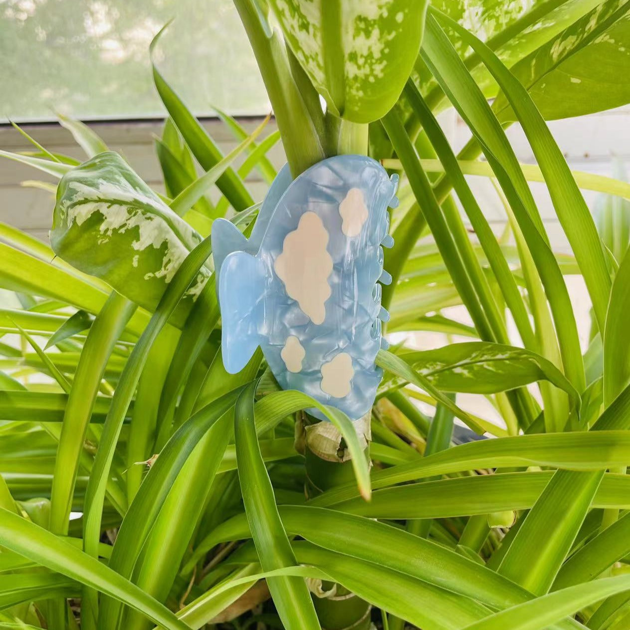 white clouds in the blue sky claw