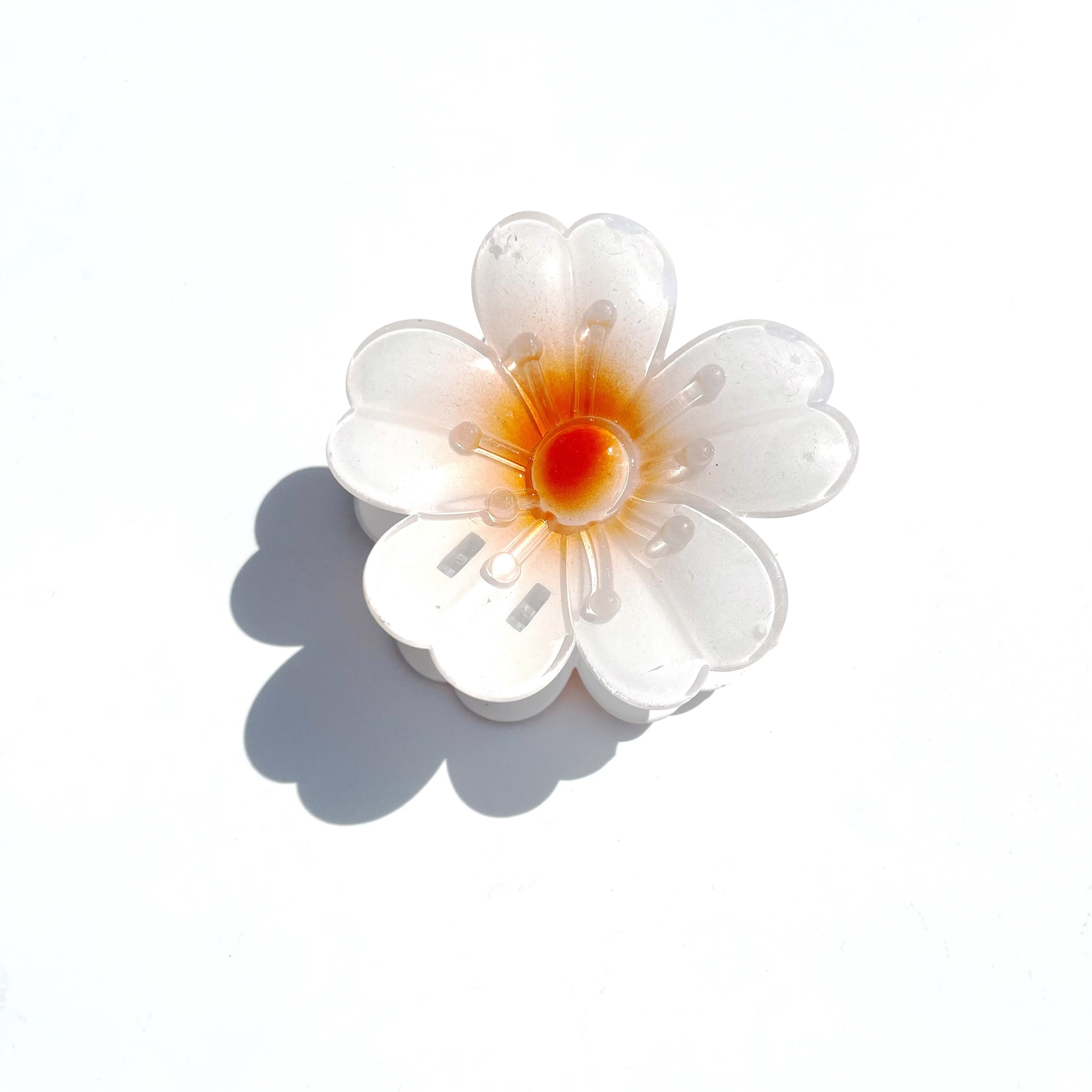 Five-petaled Frangipani Flower Claw