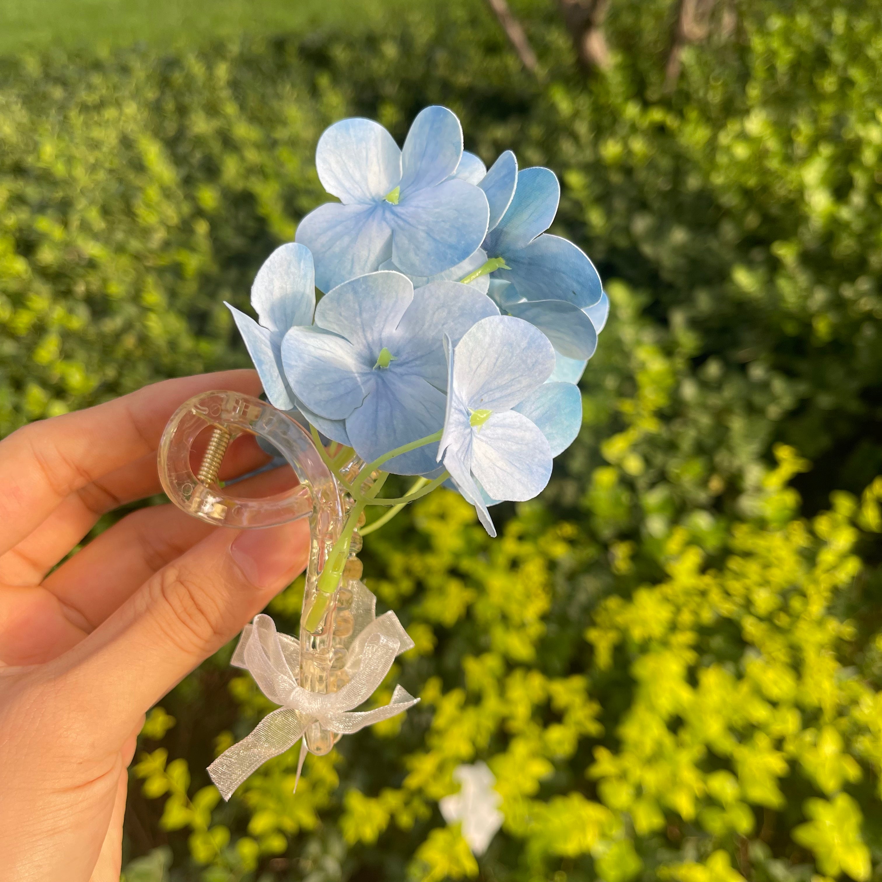 Hydrangea Claw within sky