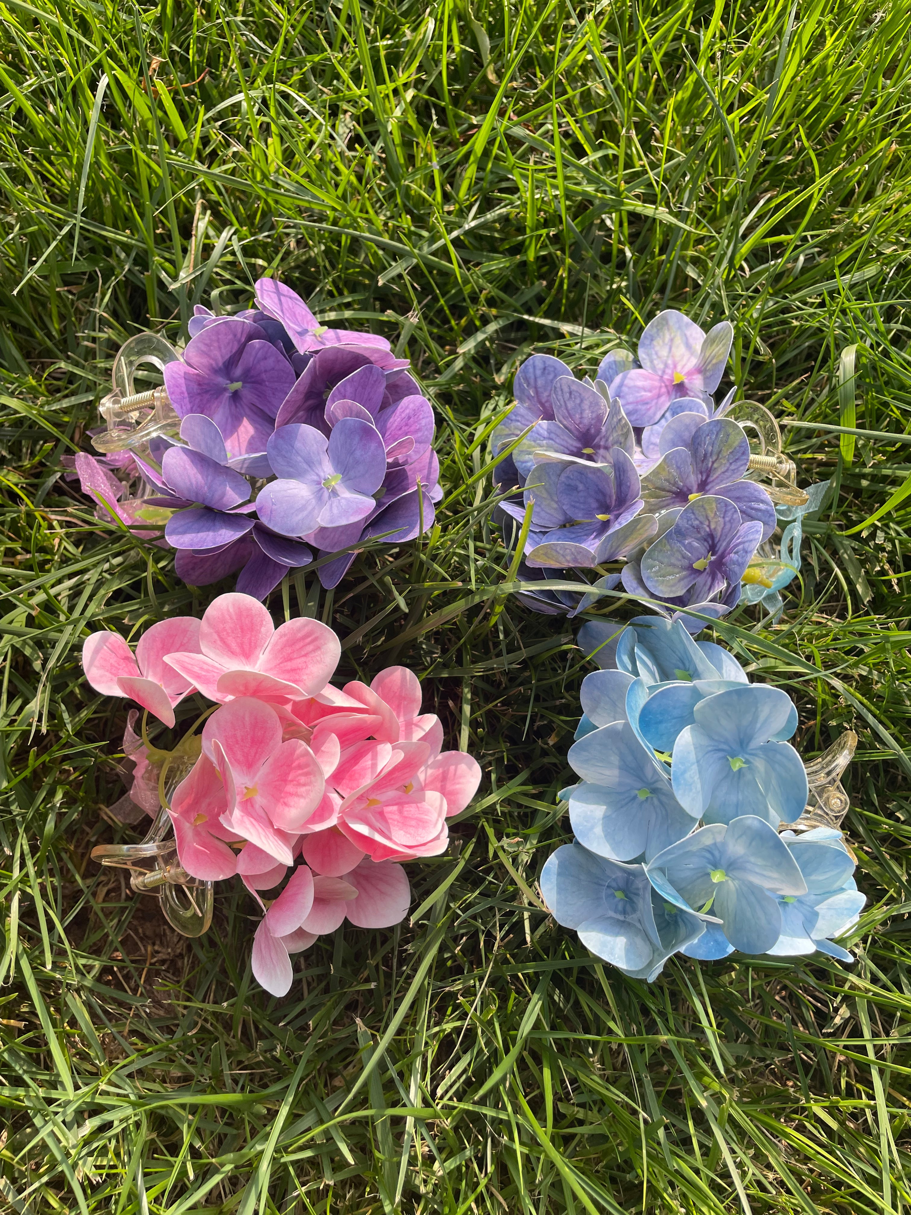 Hydrangea Claw within purple