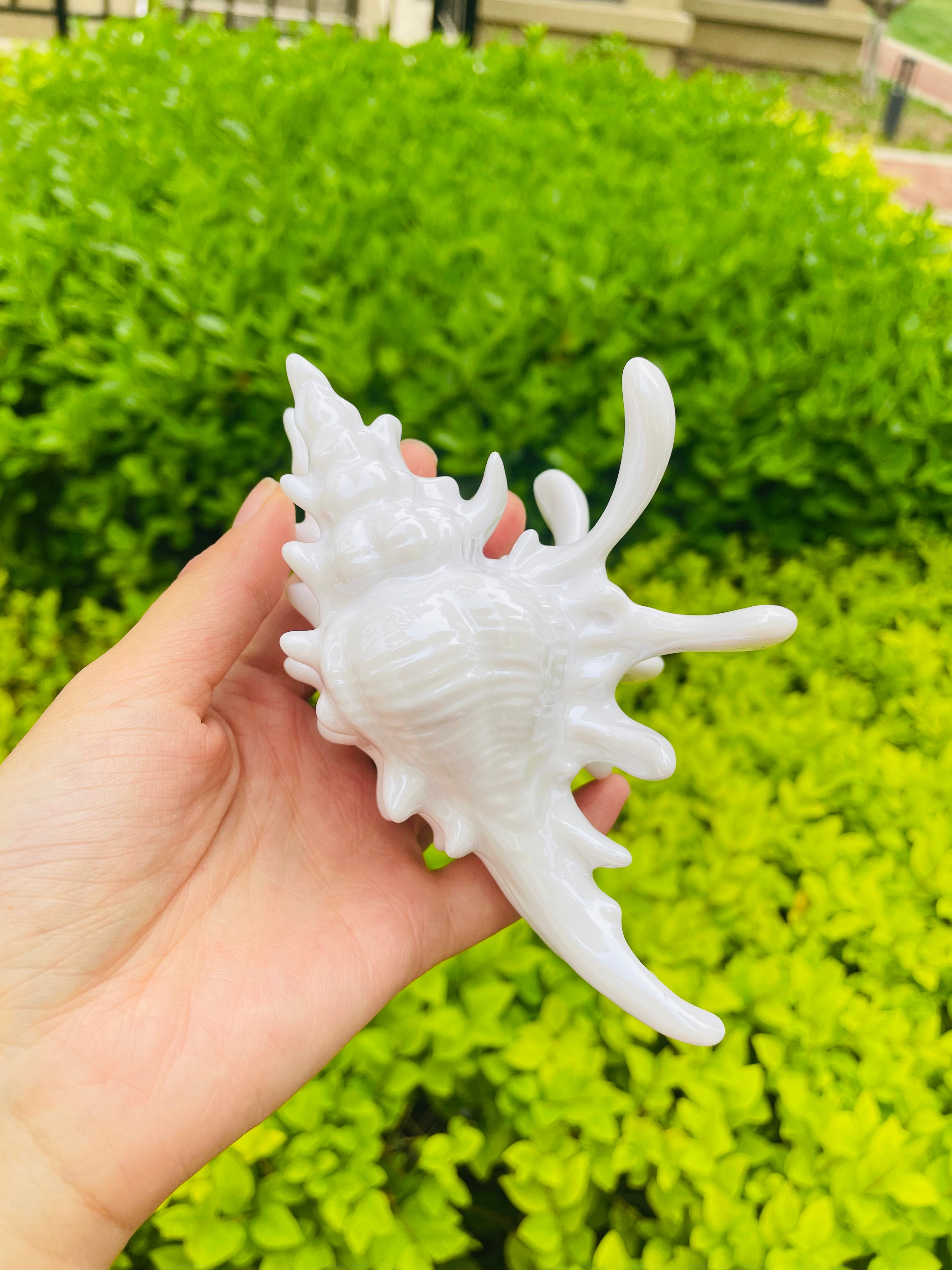 New Process Design Conch Claw in Snow