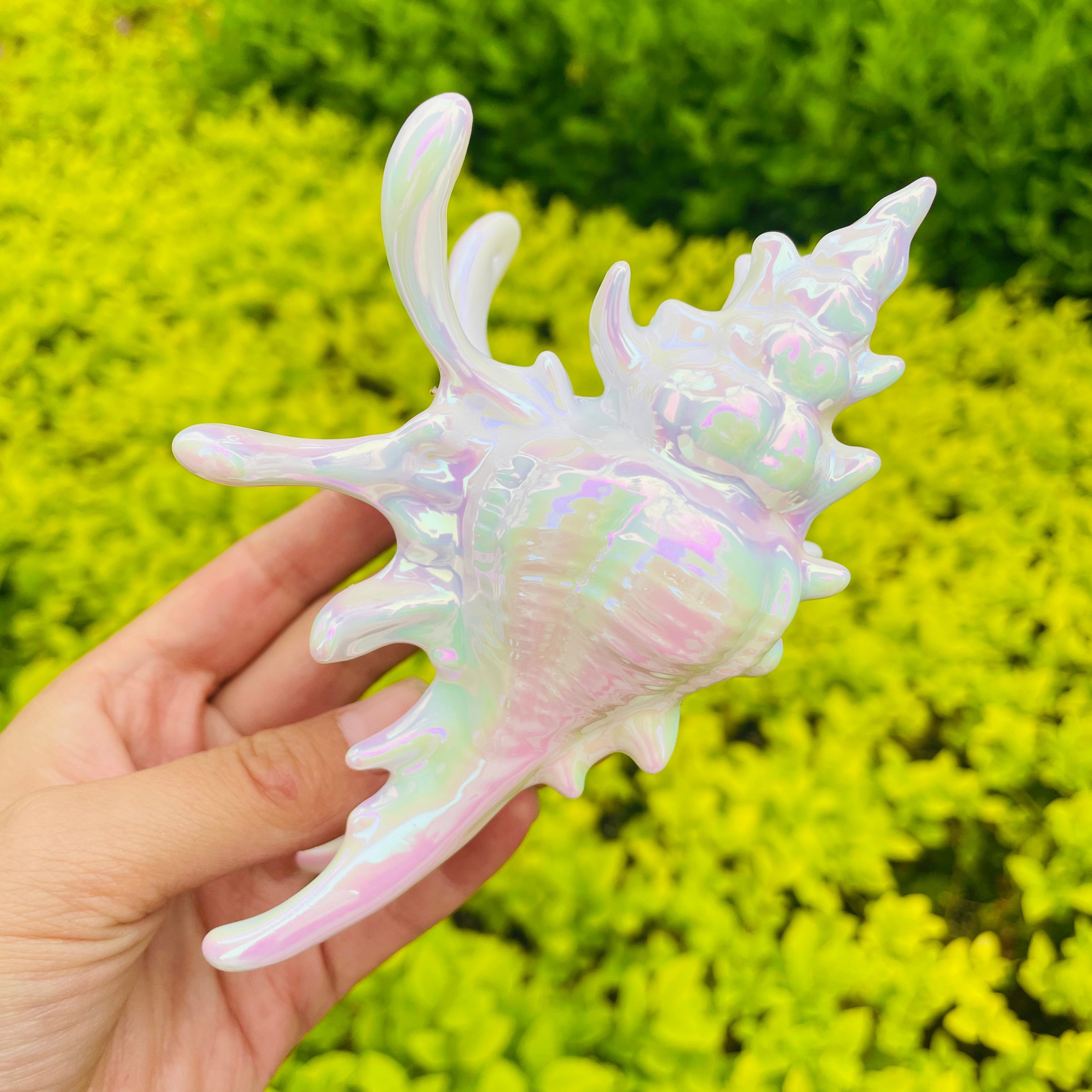 New Process Design Conch Claw in Pearl