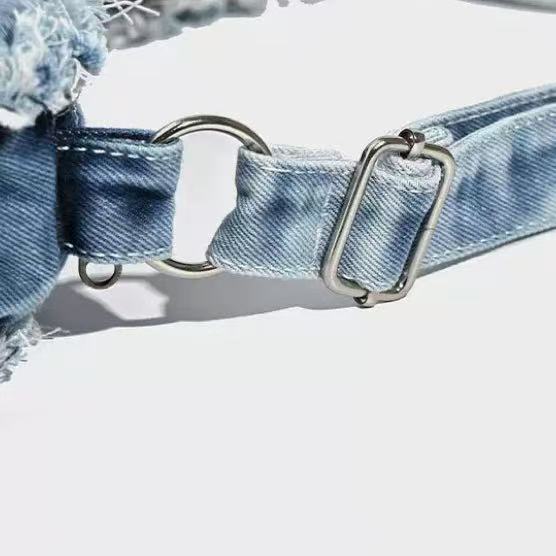 Denim Butterfly Bag within Blue