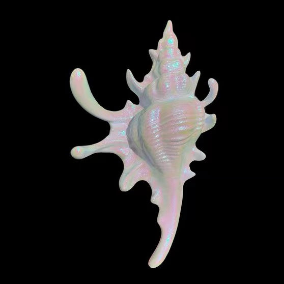 3D Conch Hair Claw