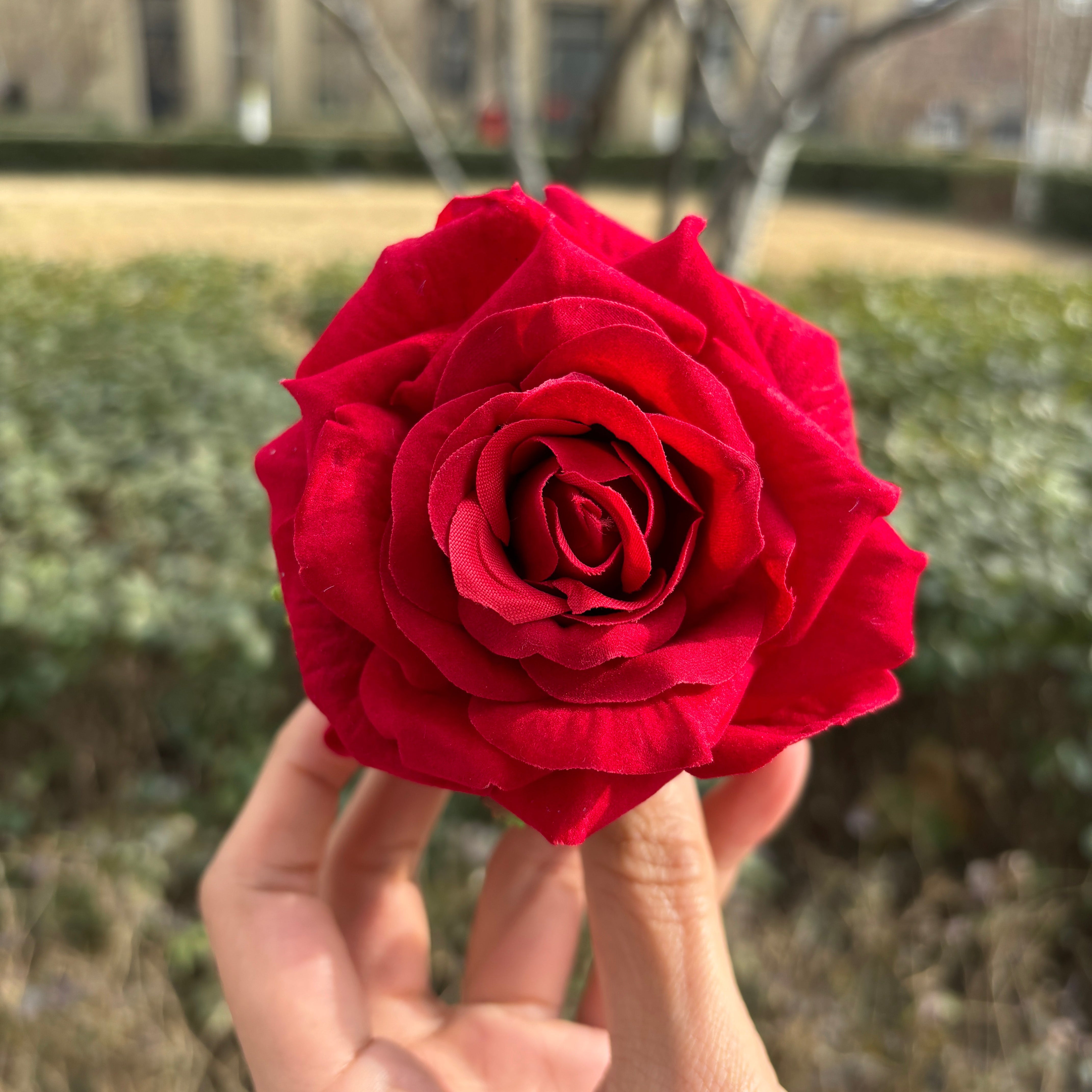 Red Rose Hair Claw