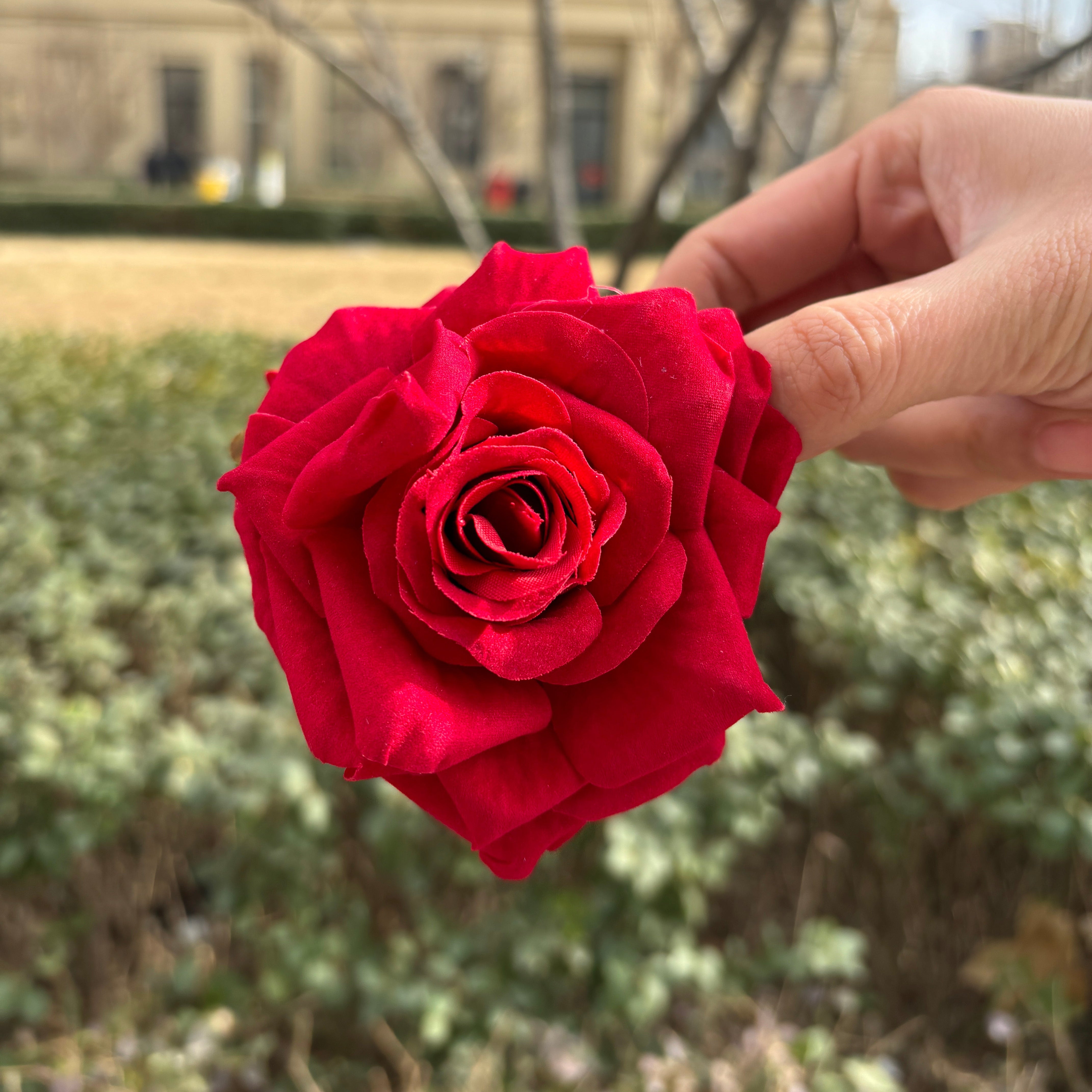 Red Rose Hair Claw