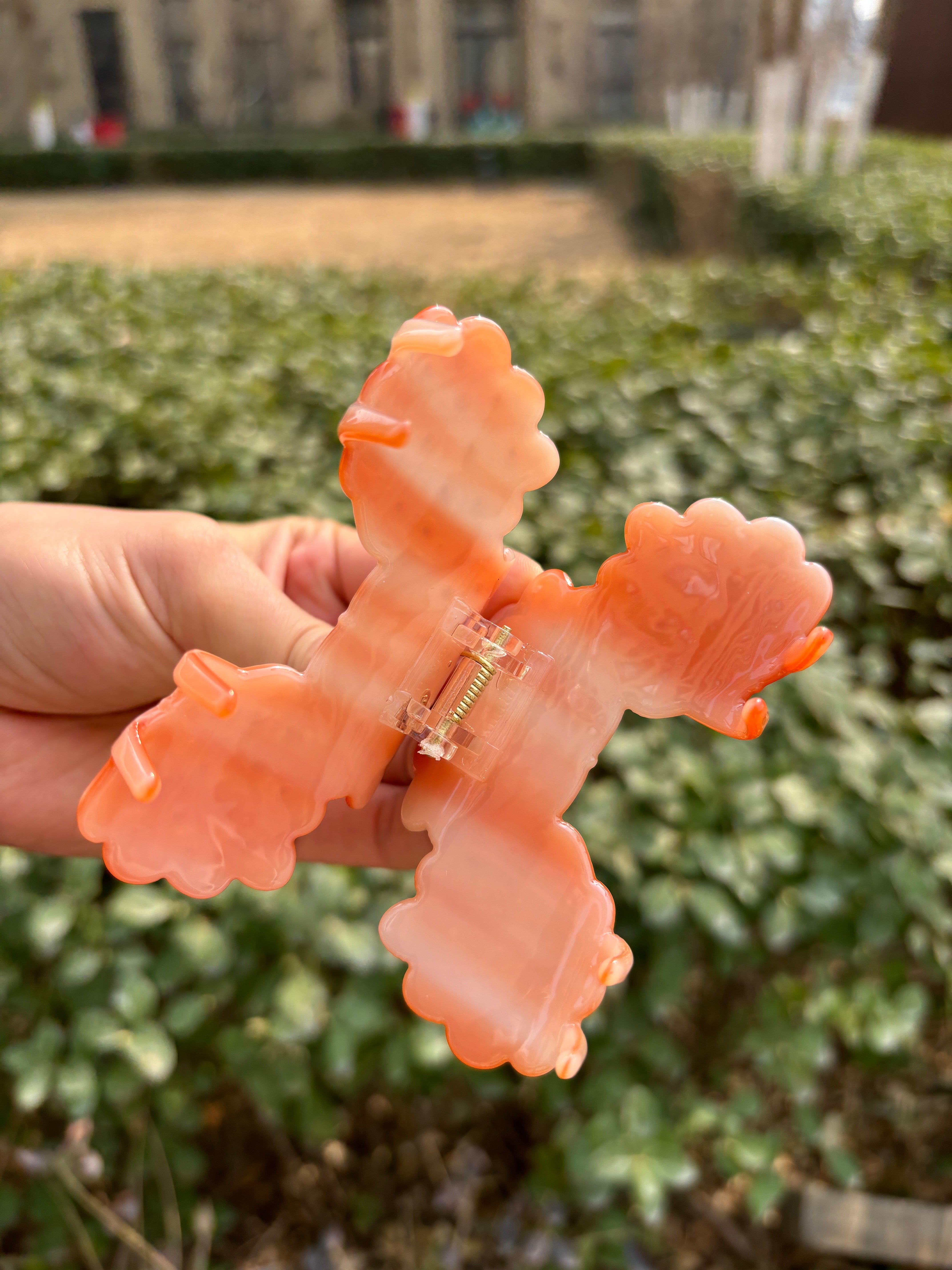 Diamond shell claw within Orange