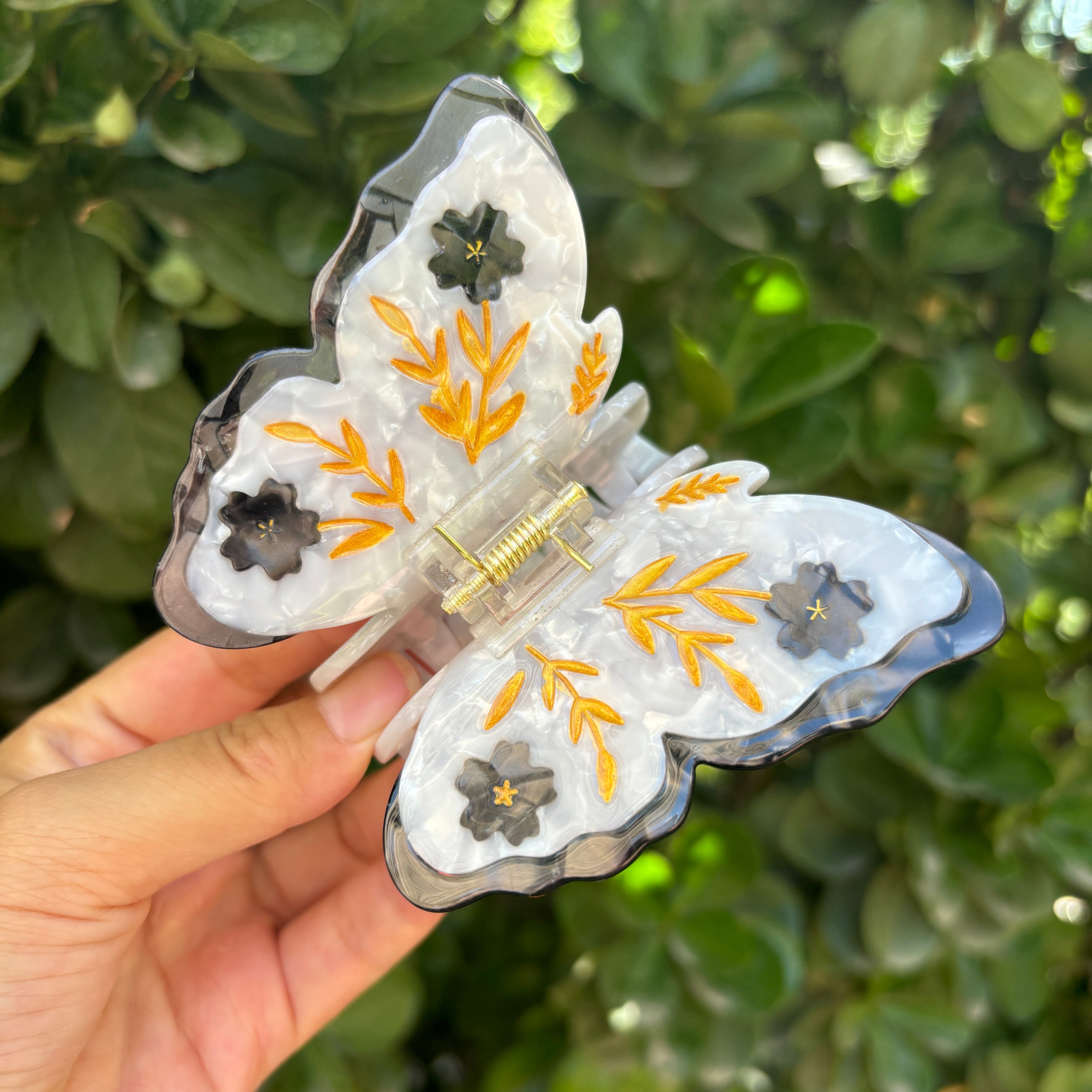Ancient butterfly clip within black