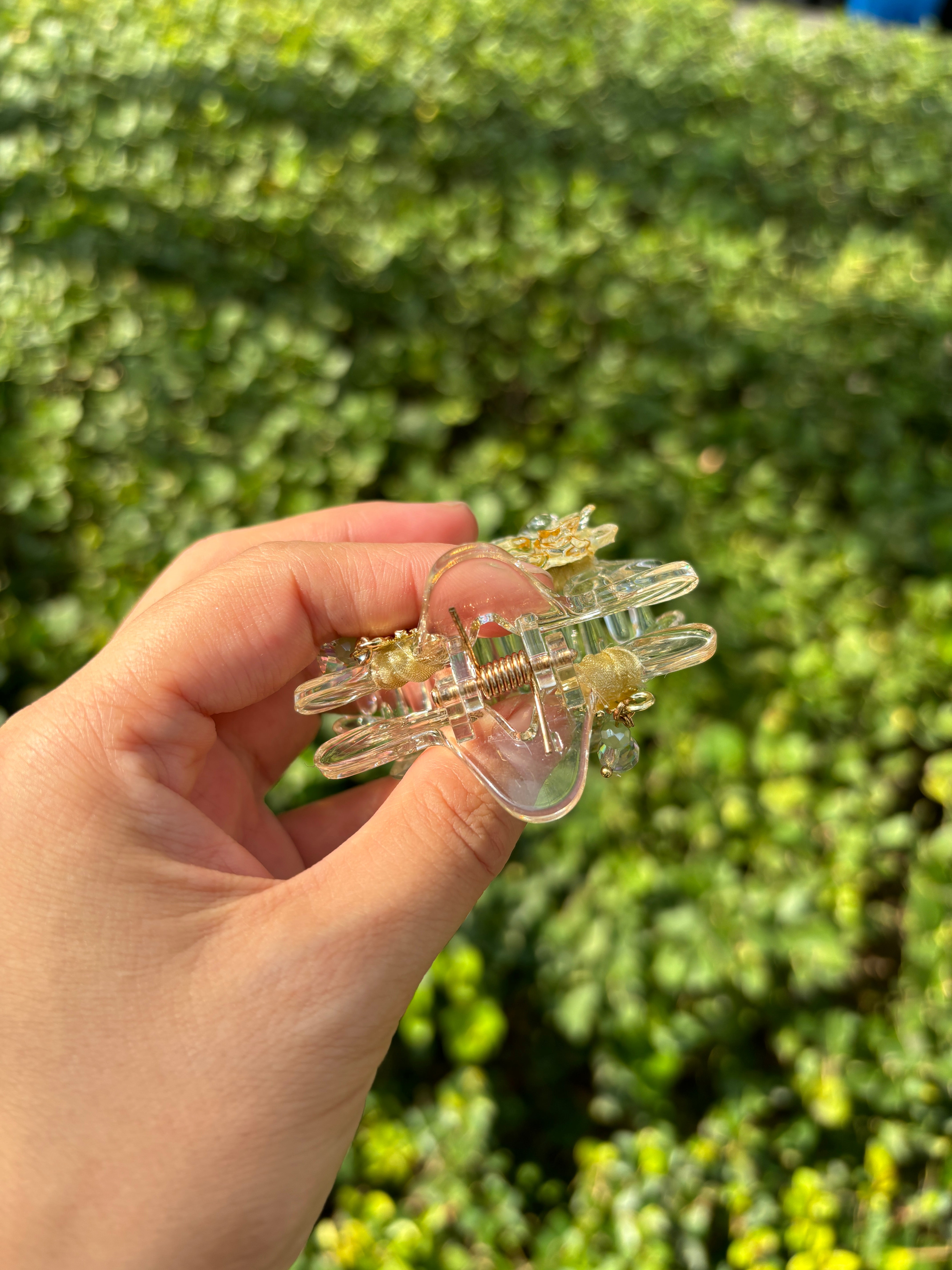 Planets and stars claw