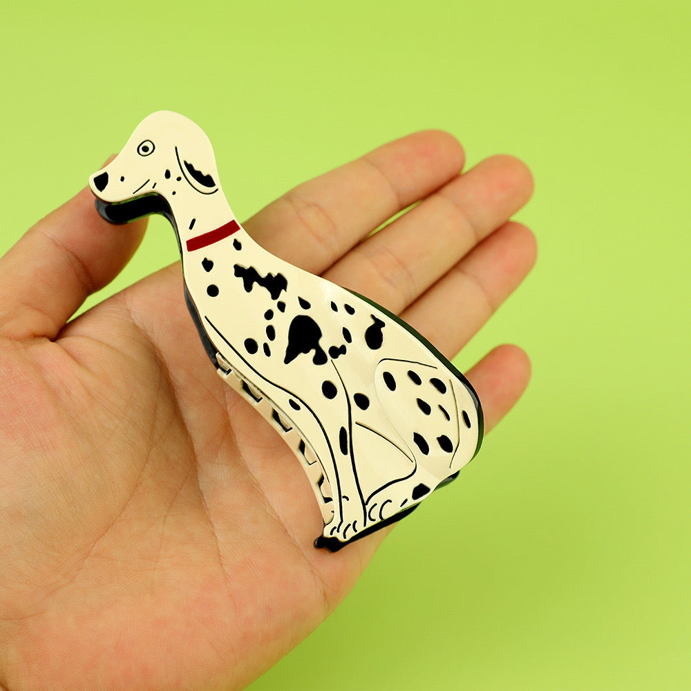 Dalmatian dog claw