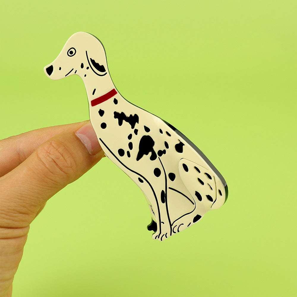 Dalmatian dog claw