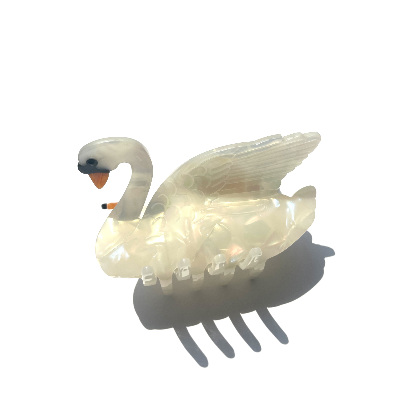 White swan with shell