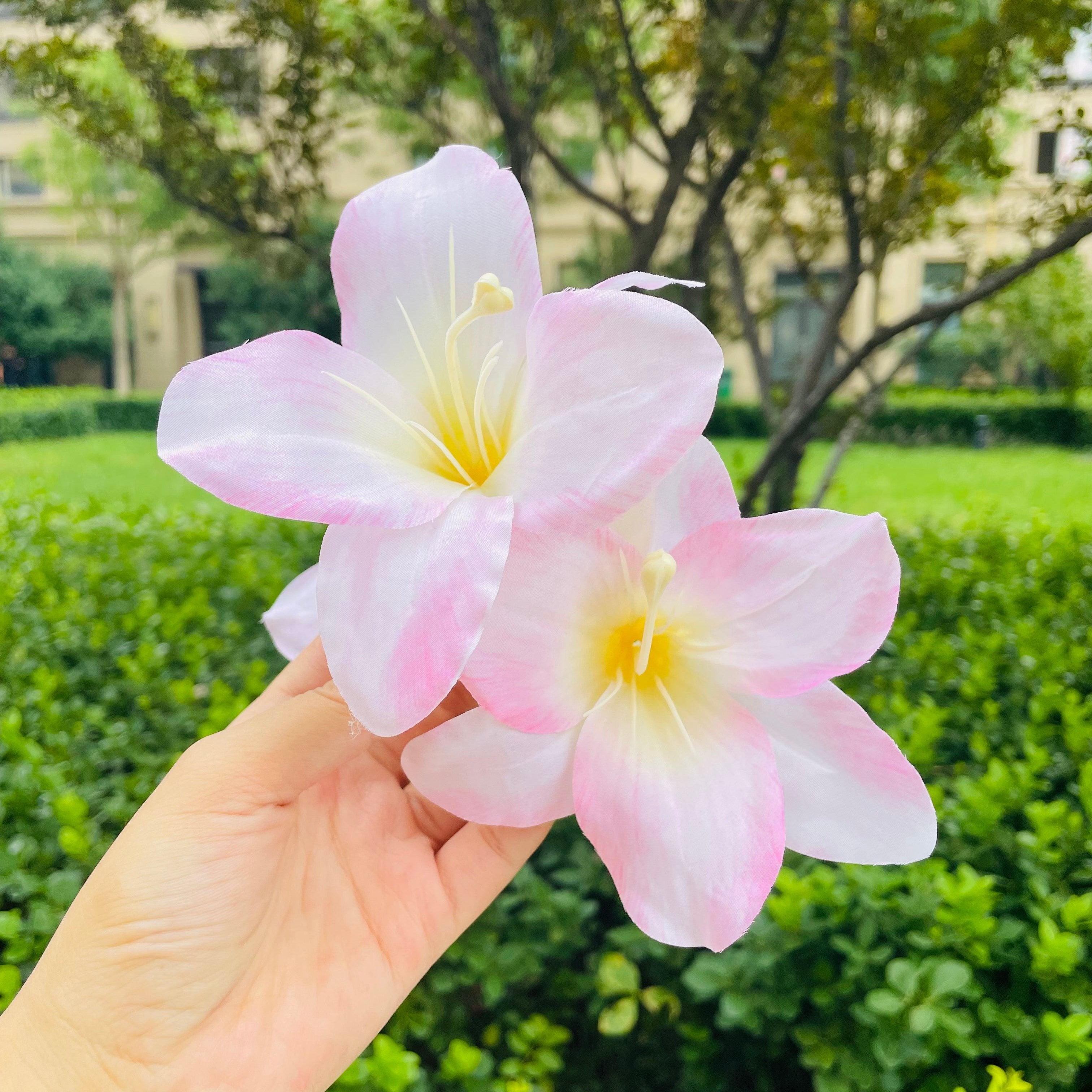 pink lily hair claw